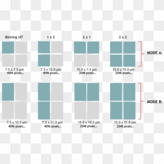 Diagram Clipart