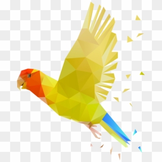 Vector Parrot Polygonal - 鸚鵡 Ai Clipart