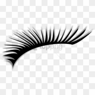 Free Png Eye Lashes Png Images Transparent - Clipart Eye Lashes Png