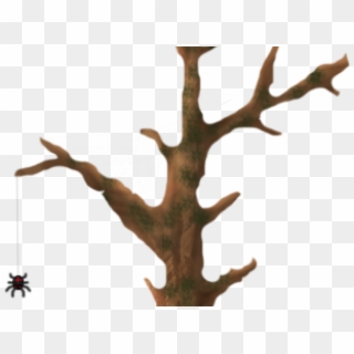 Dead Tree Clipart Spooky - Antler - Png Download