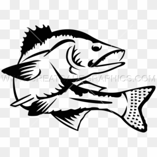 Png Royalty Free Download Walleye Clipartmansioncom - Walleye Images Black And White Transparent Png