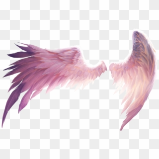 #wings #freedom #angel #fall #wing #demon #fly #birds Clipart