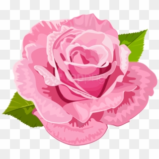 Free Png Download Rose Pink Deco Png Images Background - Hybrid Tea Rose Clipart