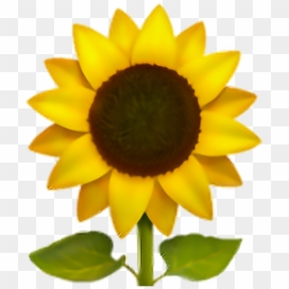 #emoji #flor #flower #png #pngs #pngtumblr - Iphone Sunflower Emoji Clipart