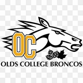 We're Hiring For Our Student Game Day Staff Positions - Olds College Rodeo Team Clipart