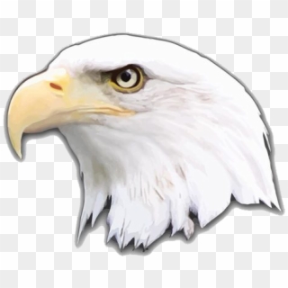 Eagle Png Logo - Bald Eagle Clipart