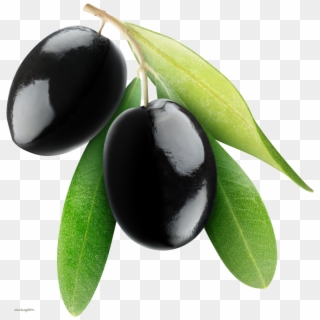 Black Olives - Black And White Jamun Fruit Clipart - Png Download