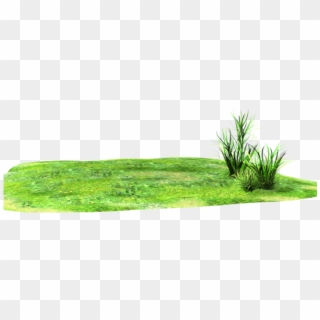 Light Patch Of Stock Grass - Land With Grass Png Clipart