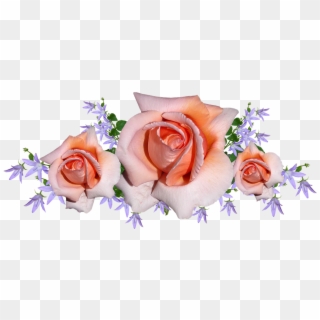 Flowers, Roses, Arrangement, Bouquet, Bloom - Garden Roses Clipart