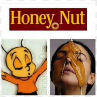 Honey Nut Meme Funnymeme Funny Followme Mayo Lol - Honey Nut Clipart