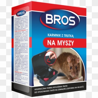 Bros Mouse Killer In Bait Box - Bros Granulat Na Myszy 2 5kg Clipart