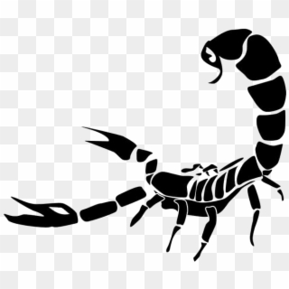 Scorpio Tattoo Png Photo - Transparent Background Scorpion Png Clipart