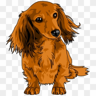 For My Pup And Doxie Pics - Long Haired Dachshund Drawing Clipart