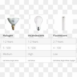 Types Of Bulbs Chart - Fluorescent Lamp Clipart