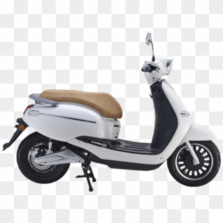 Avera Retrosa Clipart