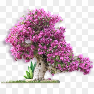 Information Form Just Fill Out The Request Form Before - Bougainvillea Clipart