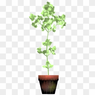 A Plant Growing - Flowerpot Clipart