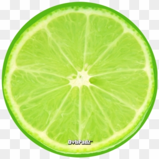 Lime Slice Dabpadz - Key Lime Clipart