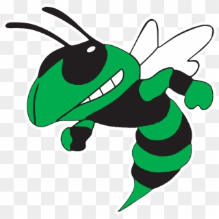 Graphic Hornet Clipart Green - Bartow Yellow Jackets - Png Download