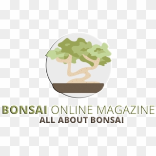 Bonsai Clipart Ancient Tree - Tree - Png Download