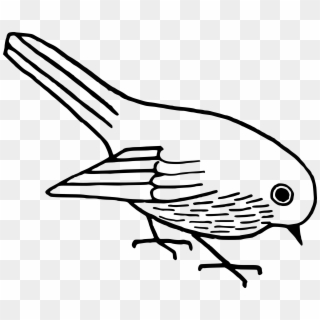 Black And White Clipart Bird - Bird Clipart Black And White Png Transparent Png