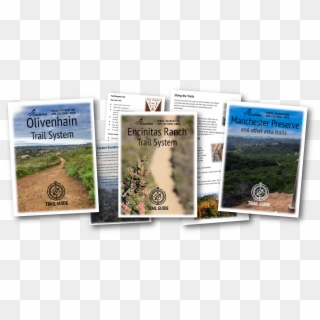 Trail Guides And Maps - Thuya Clipart