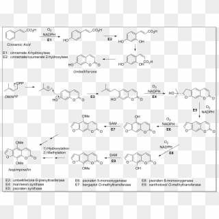 File - Chem257 - Ticagrelor Synthesis Clipart