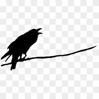 Raven On Branch Silhouette Clipart
