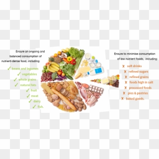 Carbohydrates Healthy Fats And Protein , Png Download - Carb Protein Fat Ratio Healthy Clipart