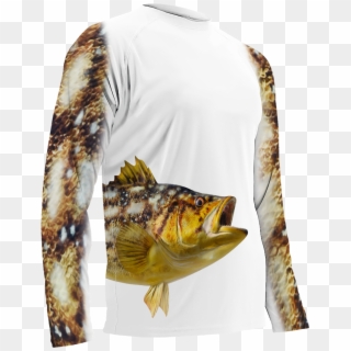 Cichla Clipart