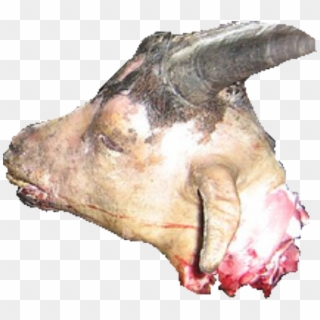 Goat Head - Boar Clipart