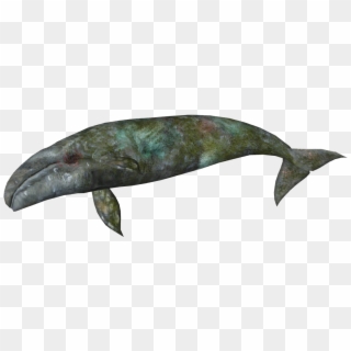 Zt2 Download Library Whales , Png Download - Bowie Knife Clipart