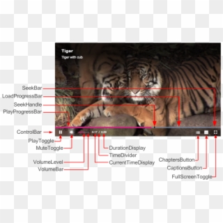 Components Playback - Siberian Tiger Clipart