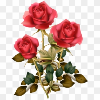 Фотки Red Rose Png, Red Roses, Rose Pictures, Pictures - Flower Good Morning Roses Clipart