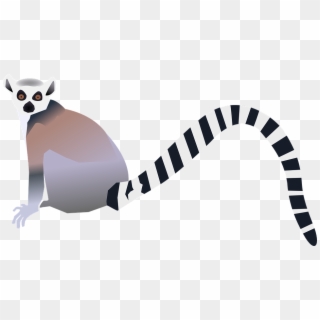 Tail Clipart Tigger - Lemur Clip Art - Png Download