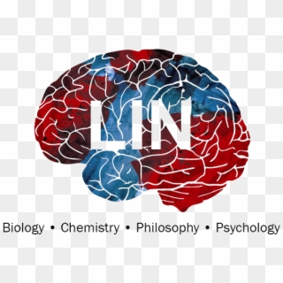 Lin Biological Sciences University Transparent Background - White Background Brain Clipart