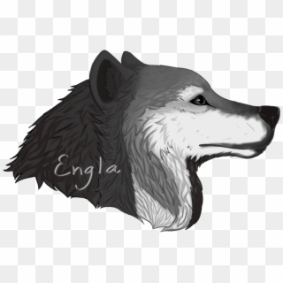 Drawn Werewolf Wolf's Head - Wolf Head Drawing Png Clipart