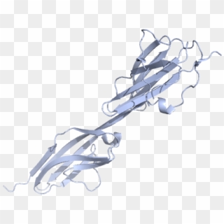 4bsj 4bsk - Sketch Clipart