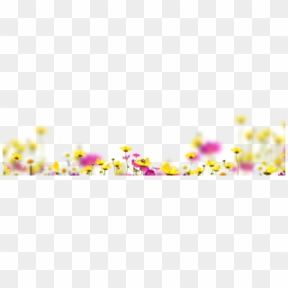 Blowing Glitter Png - Flowers Overlay Photoshop Clipart