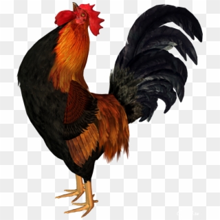 Cock Png - Rooster Clipart