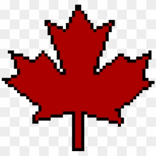 800 X 570 4 - Shared Services Canada Logo Clipart