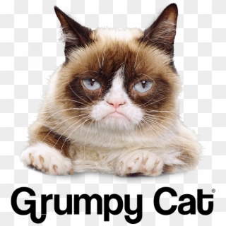 729 Grumpy Cat Supporting - Grumpy Cat Clipart