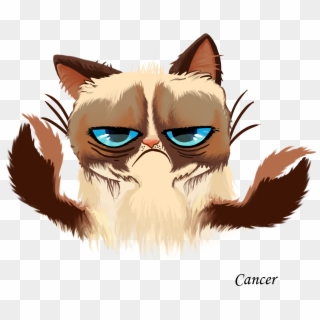 Grumpy Cat Horoscopes - Grumpy Cat Vector Png Clipart