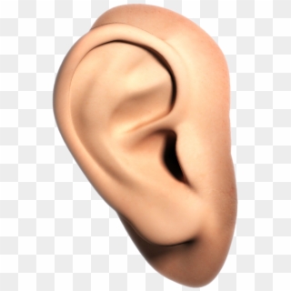 Human Ear Png Clipart