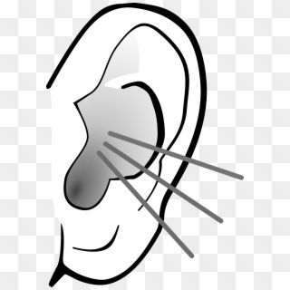 Listening Ear Png Image - Ear Listening Clipart
