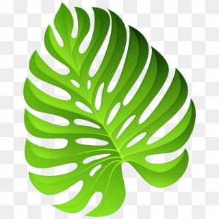 Tropical Leaves Vector - سكرابز ورق شجر Png Clipart