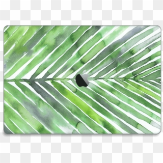Palm Leaves - Saw Palmetto Clipart