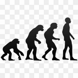 File - Human Evolution - Svg - Evolution Of Humans Clipart