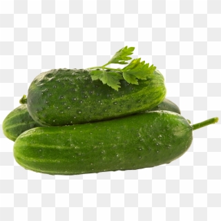 Cucumbers Png - Cucumber Png Clipart