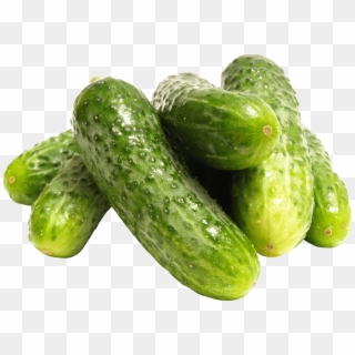 Pile Of Cucumbers - Gherkins Png Clipart